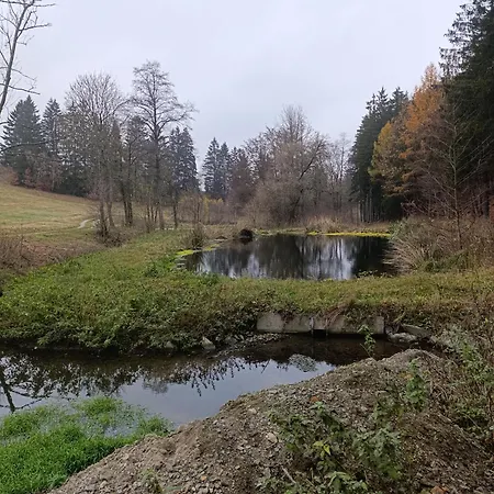 Fénix *